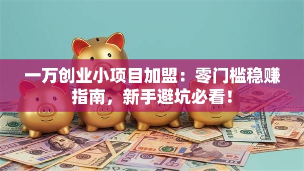 一万创业小项目加盟：零门槛稳赚指南，新手避坑必看！