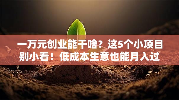 一万元创业能干啥？这5个小项目别小看！低成本生意也能月入过万