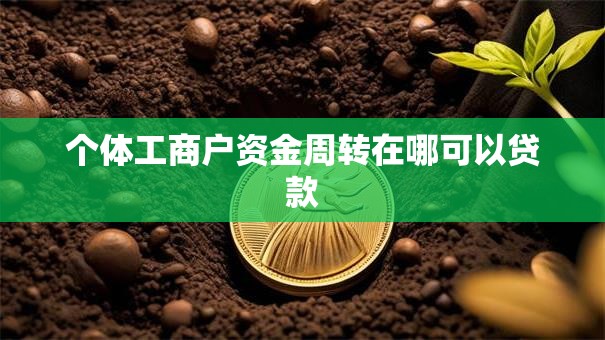 个体工商户资金周转在哪可以贷款