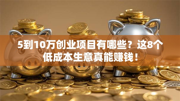 5到10万创业项目有哪些？这8个低成本生意真能赚钱！
