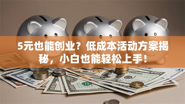 5元也能创业？低成本活动方案揭秘，小白也能轻松上手！