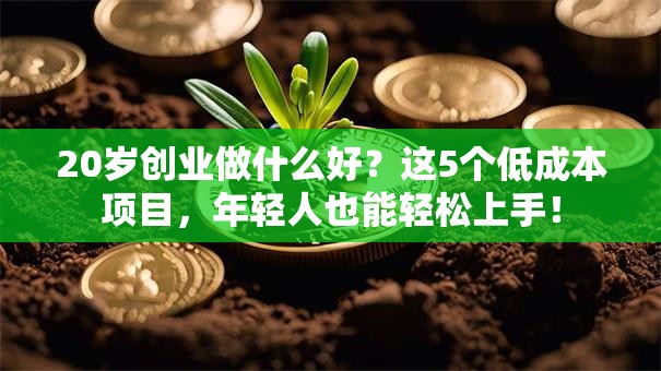 20岁创业做什么好？这5个低成本项目，年轻人也能轻松上手！