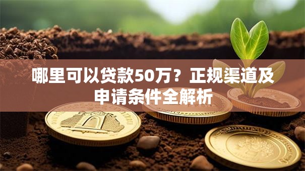 哪里可以贷款50万？正规渠道及申请条件全解析