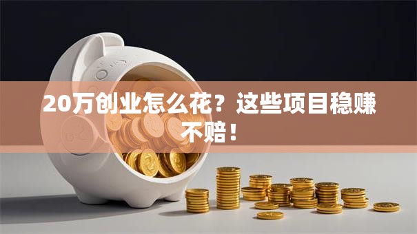 20万创业怎么花？这些项目稳赚不赔！