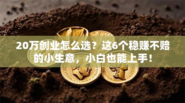 20万创业怎么选？这6个稳赚不赔的小生意，小白也能上手！