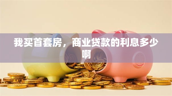 我买首套房，商业贷款的利息多少啊