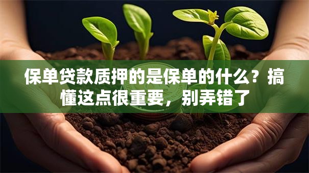 保单贷款质押的是保单的什么？搞懂这点很重要，别弄错了