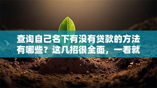 查询自己名下有没有贷款的方法有哪些？这几招很全面，一看就明白