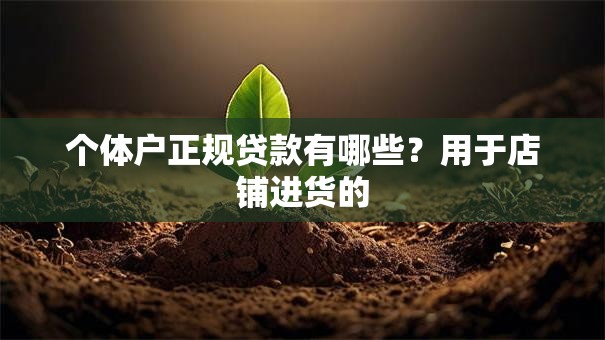 个体户正规贷款有哪些？用于店铺进货的