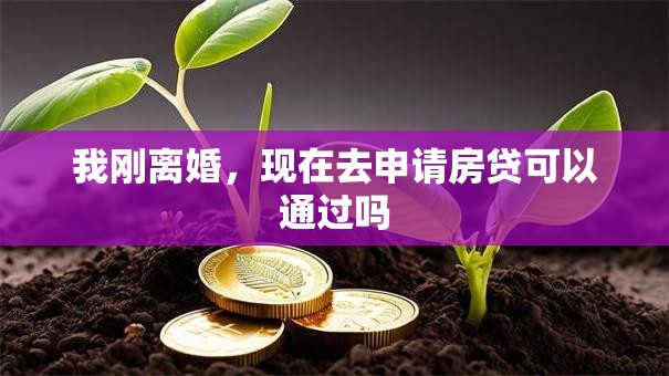 我刚离婚，现在去申请房贷可以通过吗