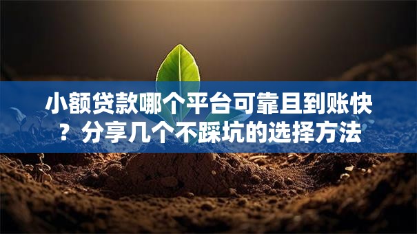 小额贷款哪个平台可靠且到账快？分享几个不踩坑的选择方法