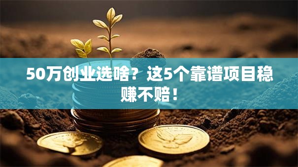 50万创业选啥？这5个靠谱项目稳赚不赔！