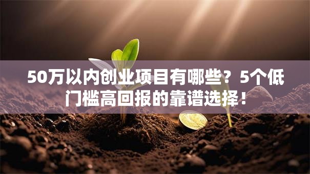 50万以内创业项目有哪些？5个低门槛高回报的靠谱选择！