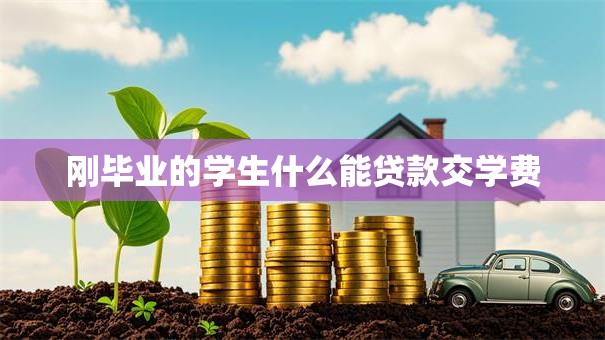 刚毕业的学生什么能贷款交学费
