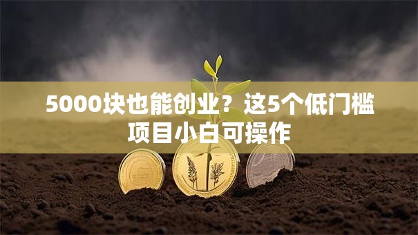 5000块也能创业？这5个低门槛项目小白可操作