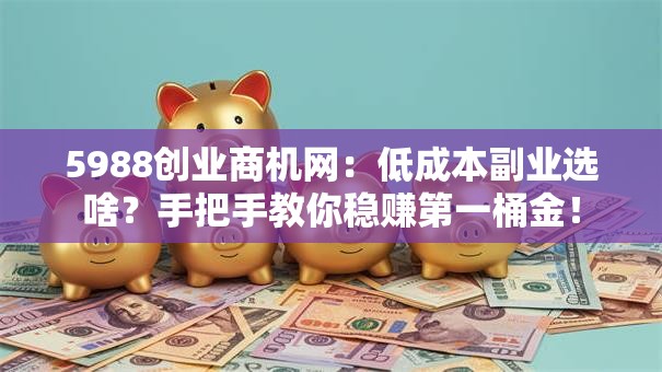 5988创业商机网：低成本副业选啥？手把手教你稳赚第一桶金！