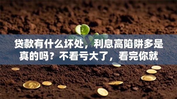 贷款有什么坏处，利息高陷阱多是真的吗？不看亏大了，看完你就全清楚！