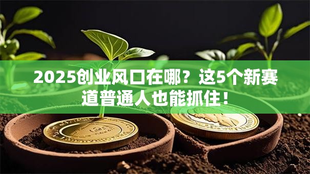2025创业风口在哪？这5个新赛道普通人也能抓住！