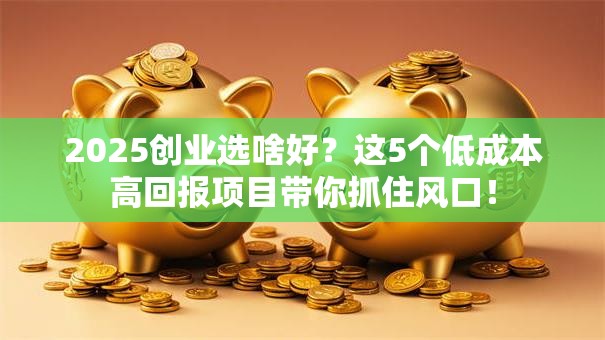 2025创业选啥好？这5个低成本高回报项目带你抓住风口！