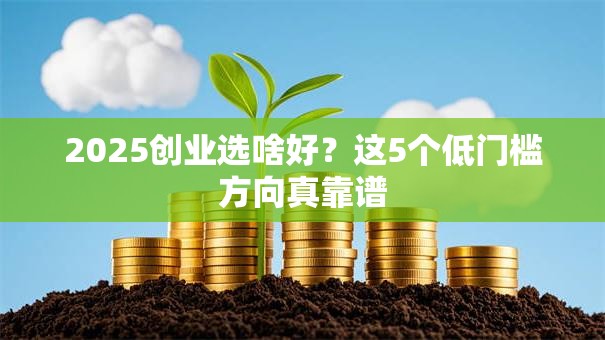 2025创业选啥好？这5个低门槛方向真靠谱