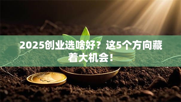 2025创业选啥好？这5个方向藏着大机会！