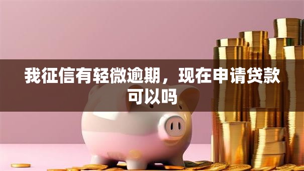 我征信有轻微逾期，现在申请贷款可以吗