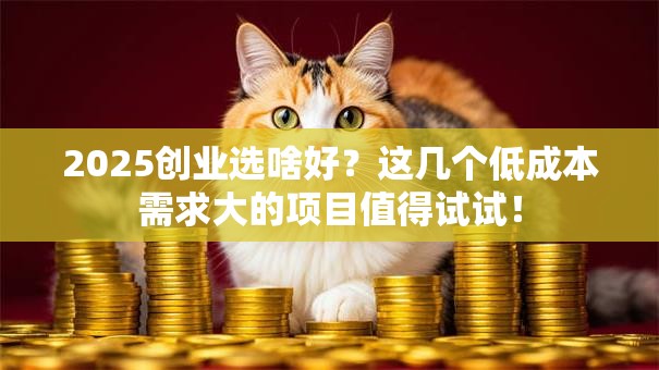 2025创业选啥好？这几个低成本需求大的项目值得试试！