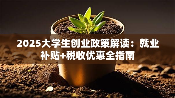 2025大学生创业政策解读：就业补贴+税收优惠全指南