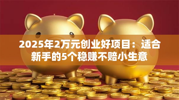 2025年2万元创业好项目：适合新手的5个稳赚不赔小生意