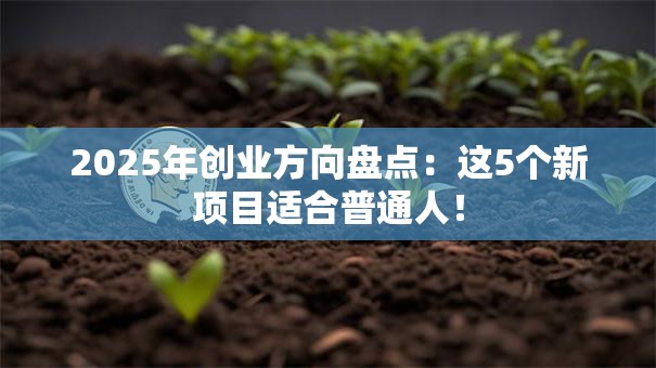 2025年创业方向盘点：这5个新项目适合普通人！