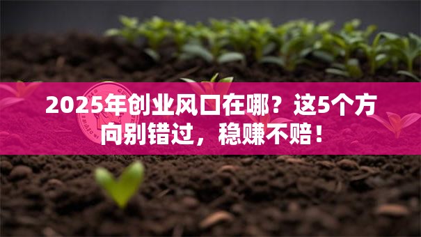 2025年创业风口在哪？这5个方向别错过，稳赚不赔！