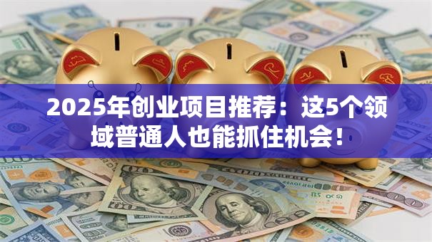 2025年创业项目推荐：这5个领域普通人也能抓住机会！