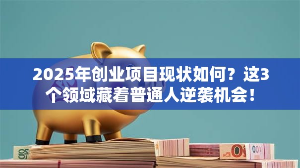 2025年创业项目现状如何？这3个领域藏着普通人逆袭机会！