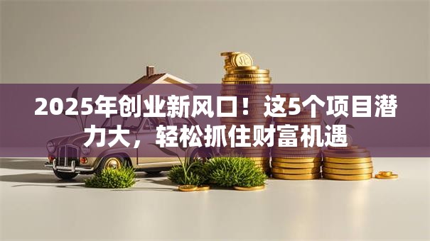 2025年创业新风口！这5个项目潜力大，轻松抓住财富机遇