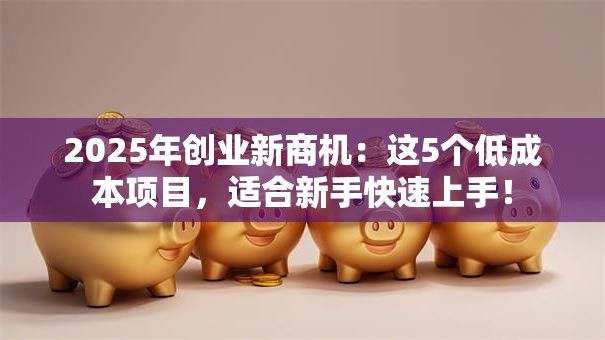 2025年创业新商机：这5个低成本项目，适合新手快速上手！