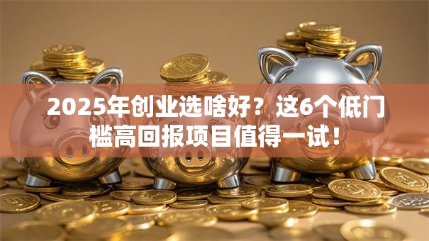 2025年创业选啥好？这6个低门槛高回报项目值得一试！