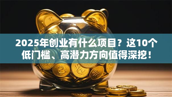 2025年创业有什么项目？这10个低门槛、高潜力方向值得深挖！