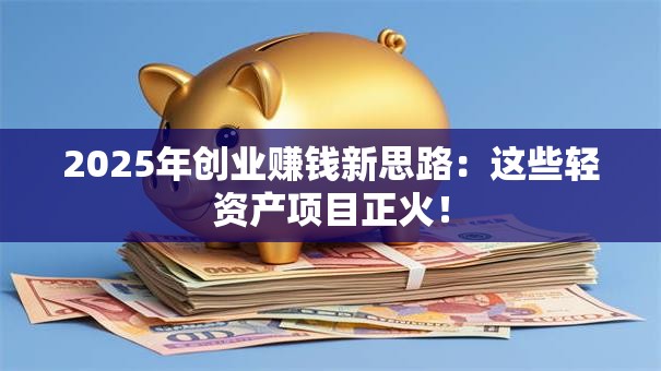 2025年创业赚钱新思路：这些轻资产项目正火！