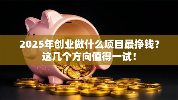 2025年创业做什么项目最挣钱？这几个方向值得一试！