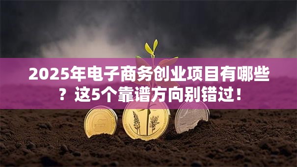 2025年电子商务创业项目有哪些？这5个靠谱方向别错过！