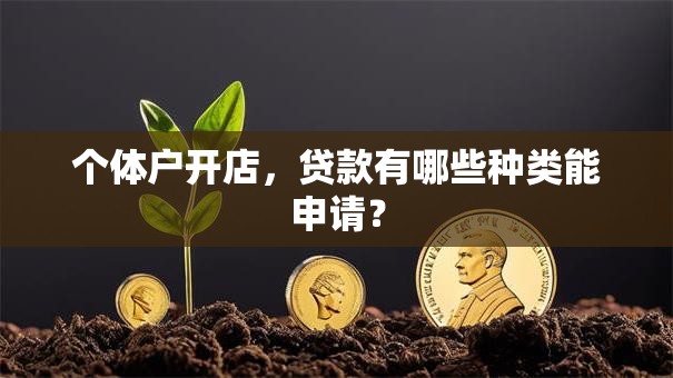 个体户开店，贷款有哪些种类能申请？