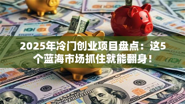 2025年冷门创业项目盘点：这5个蓝海市场抓住就能翻身！