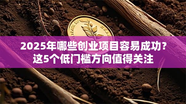 2025年哪些创业项目容易成功？这5个低门槛方向值得关注