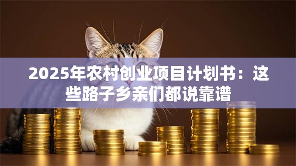 2025年农村创业项目计划书：这些路子乡亲们都说靠谱