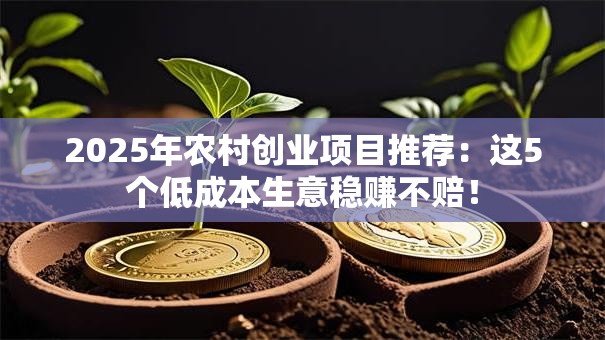 2025年农村创业项目推荐：这5个低成本生意稳赚不赔！
