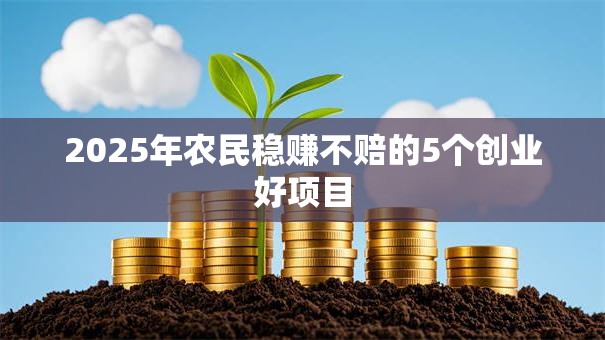 2025年农民稳赚不赔的5个创业好项目