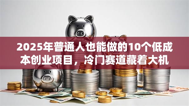 2025年普通人也能做的10个低成本创业项目，冷门赛道藏着大机会！