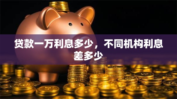 贷款一万利息多少，不同机构利息差多少
