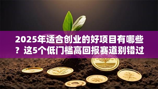 2025年适合创业的好项目有哪些？这5个低门槛高回报赛道别错过！