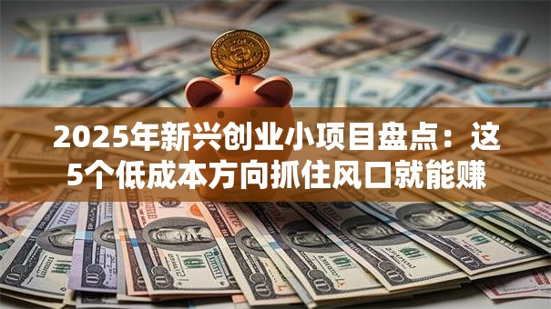 2025年新兴创业小项目盘点：这5个低成本方向抓住风口就能赚